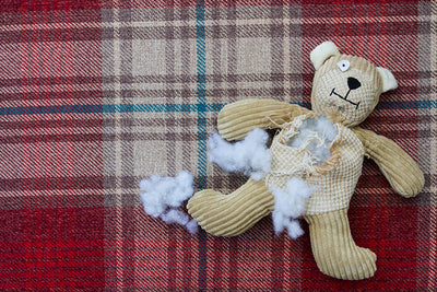Dog toy showing visible wear with stuffing exposed
