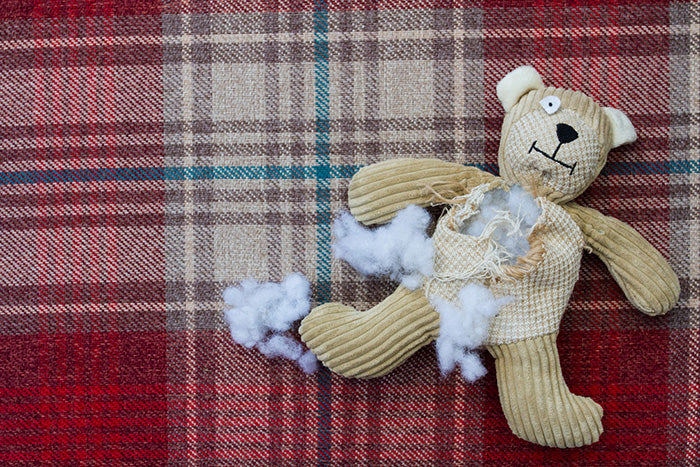 Dog toy showing visible wear with stuffing exposed