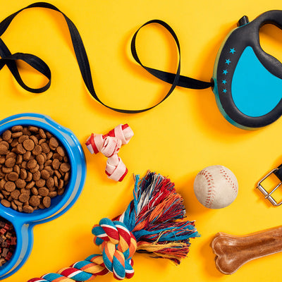 A collection of dog accessories on yellow background