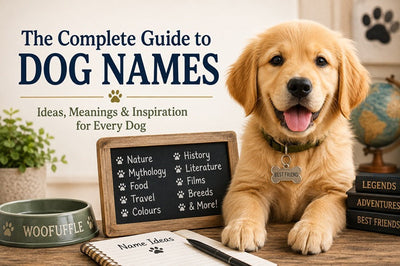 Dog Name Guide
