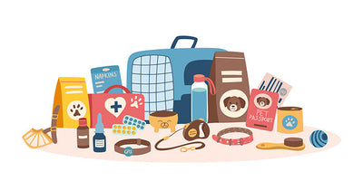 Selection of puppy accessories including collar, lead, food bowl, and bed