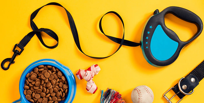 Selection of everyday dog accessories including collar, lead, and bowl