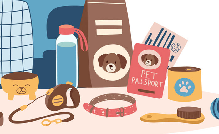 Selection of dog accessories showing different designs