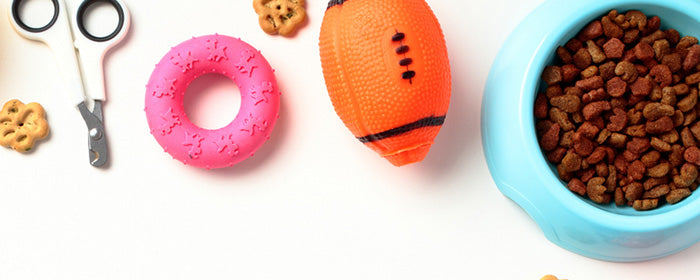 Everyday dog accessories including bowl, collar, lead, and travel items