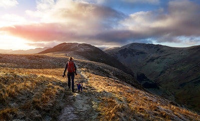 walking with dog on a beautiful landscape