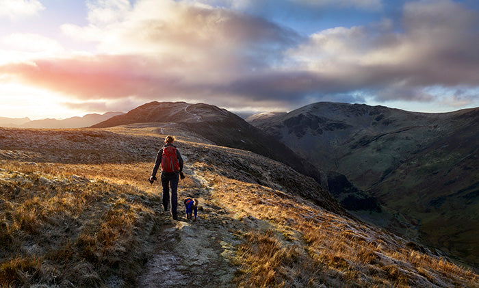 walking with dog on a beautiful landscape