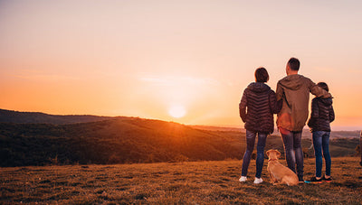Family dog walking at sunset