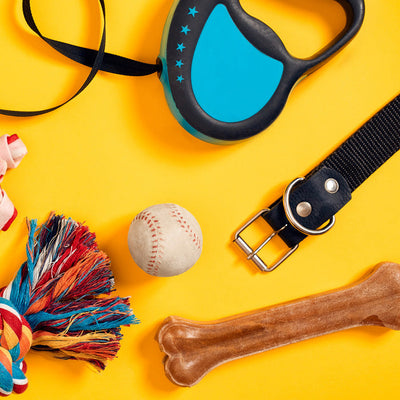 yellow banner displayed with dog products