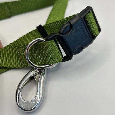 Green dog leash with a metal clip and black buckle on a white background