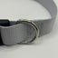 Grey dog collar with a silver D-ring on a white background