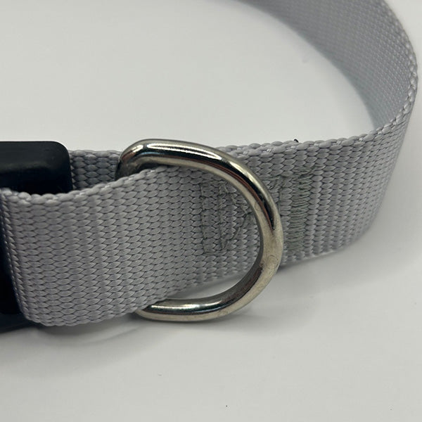 Grey dog collar with a silver D-ring on a white background