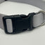 Gray dog collar with a black buckle on a white background