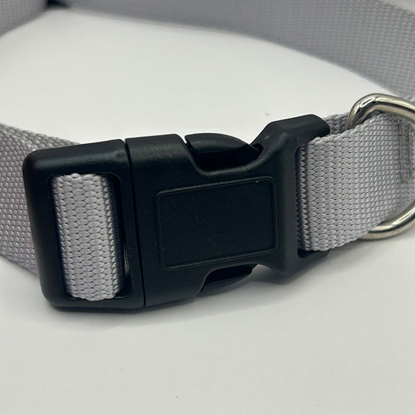 Gray dog collar with a black buckle on a white background
