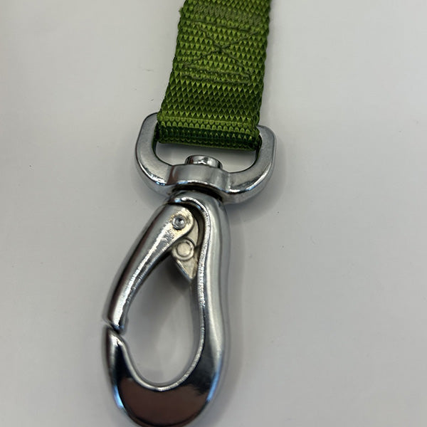 Green strap with a metal carabiner on a white background