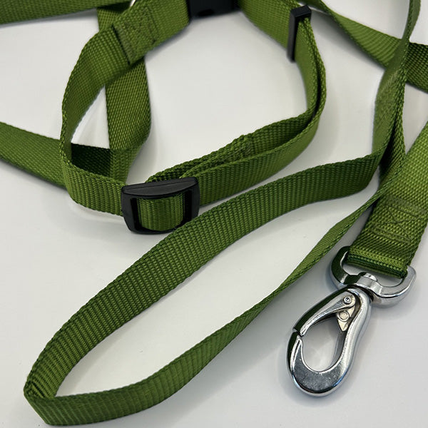 Green dog leash with a metal clip on a white background